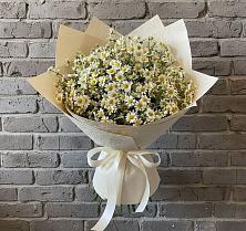 Букет цветов из:  Ромашки в Решоткино