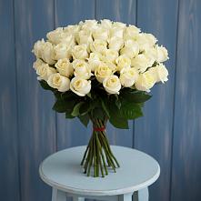 Букет 51 Белая роза Эдлесс Лав #REPLACE_PRED# Решоткино